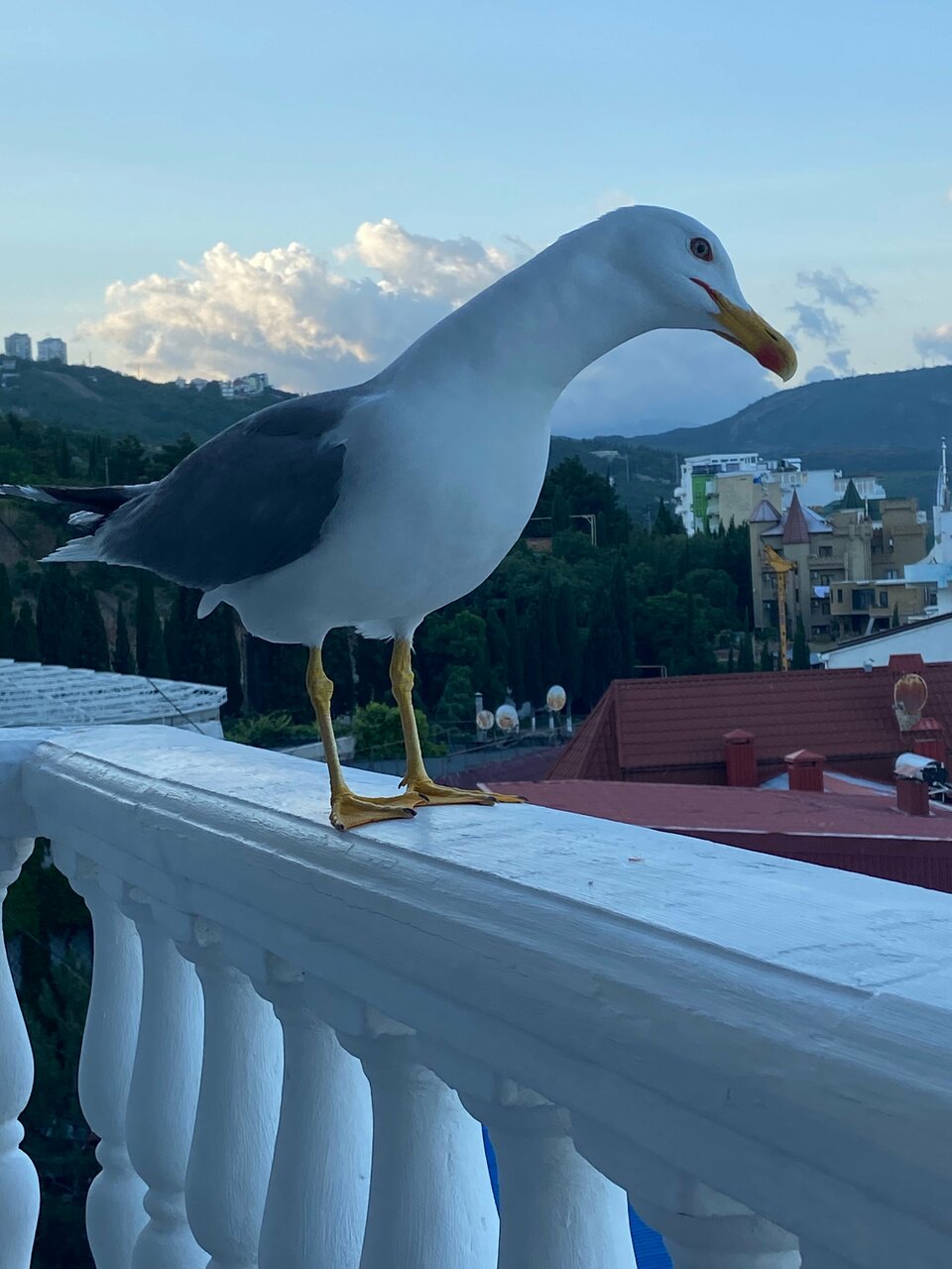 Гостиница Седьмое Небо Утес-191