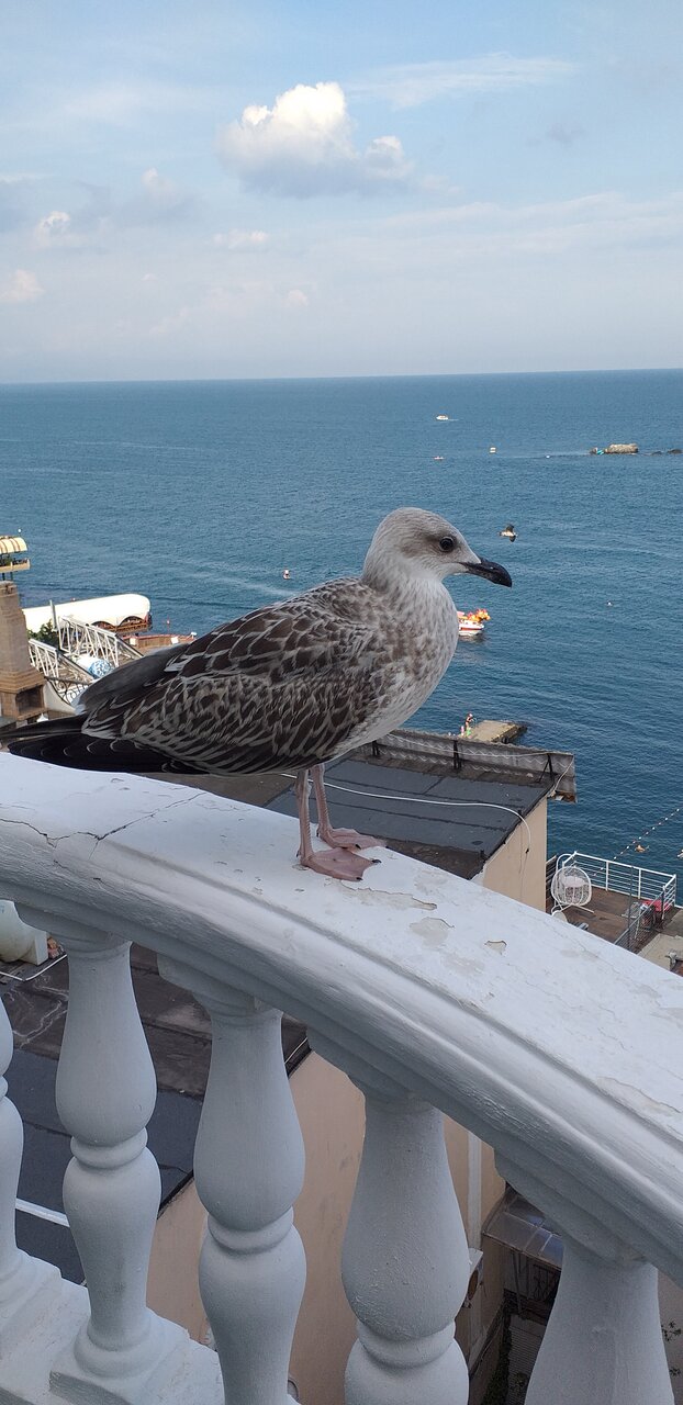 Гостиница Седьмое Небо Утес-238