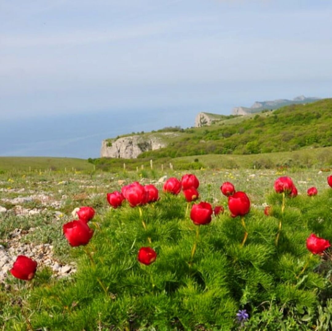 Гостиница Седьмое Небо Утес-24