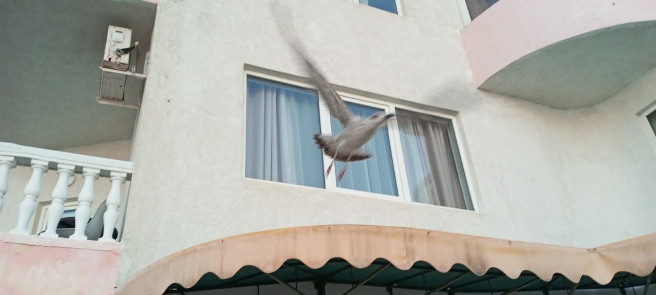 Гостиница Седьмое Небо Утес-217