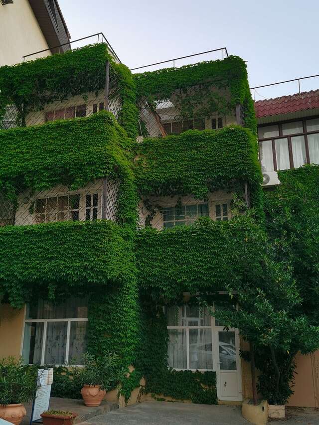 Гостиница Седьмое Небо Утес-186