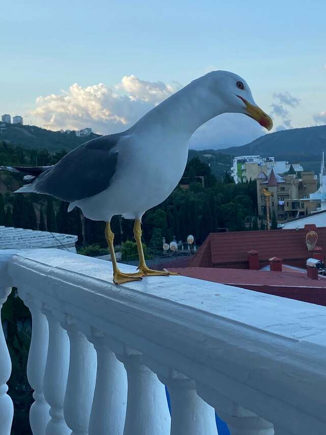 Гостиница Седьмое Небо Утес-190