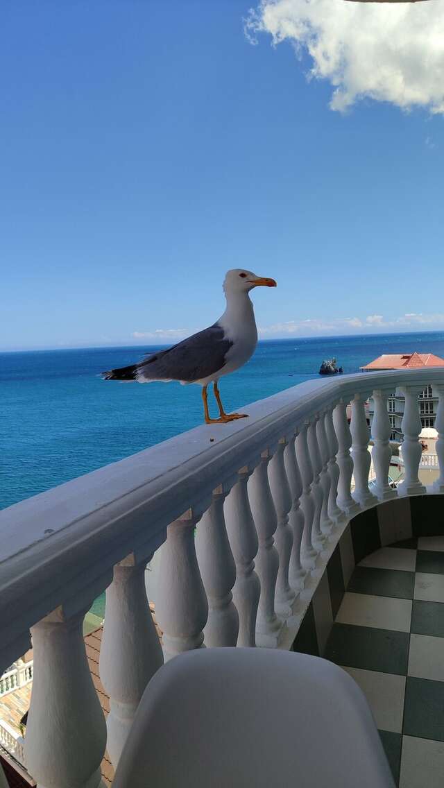 Гостиница Седьмое Небо Утес-249