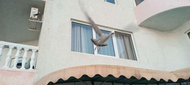 Гостиница Седьмое Небо Утес-216